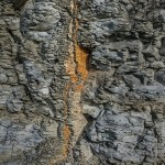 Bidean de Miren Pastor