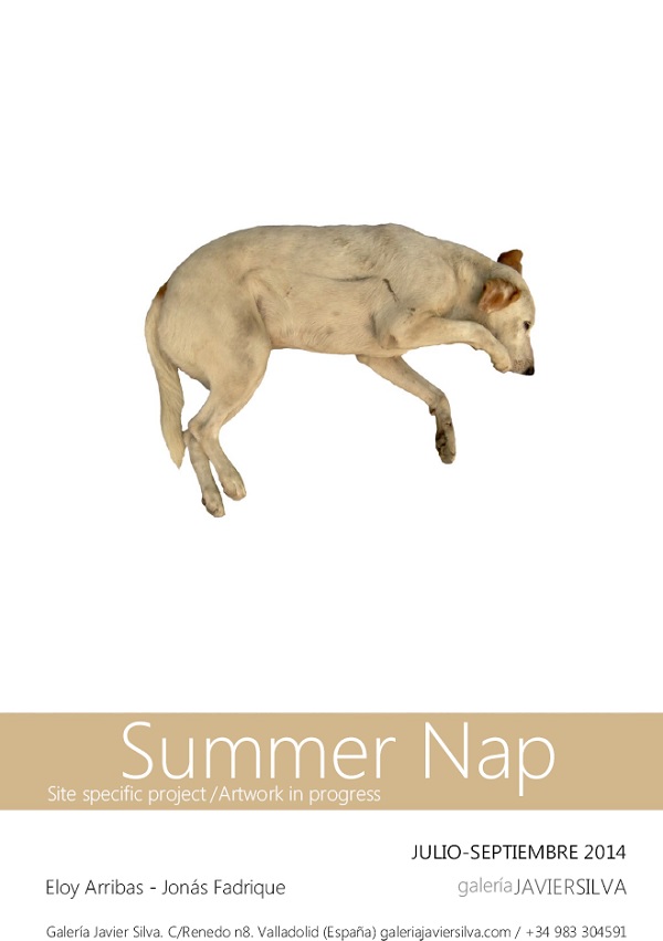 Summer Nap Galería Javier Silva