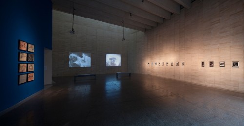 MUSAC-Carolee_Schneemann