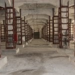 fundacion sandretto