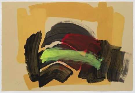Howard Hodgkin