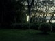 Johann Ryno de Wet _ Garden Tree Light_camara oscura