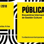 PÚBLICA 18