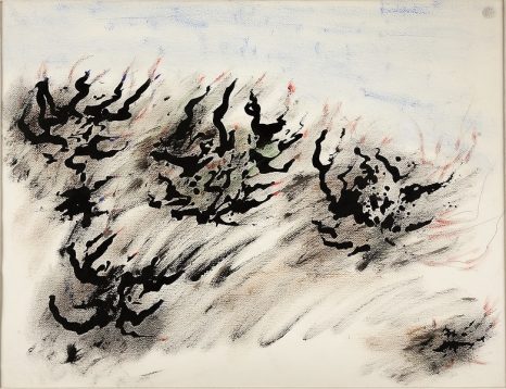 Henri Michaux