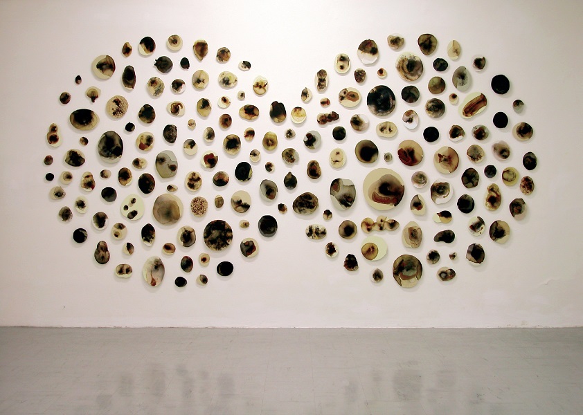 Stefano Bonacci