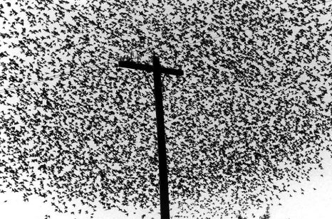 Graciela Iturbide