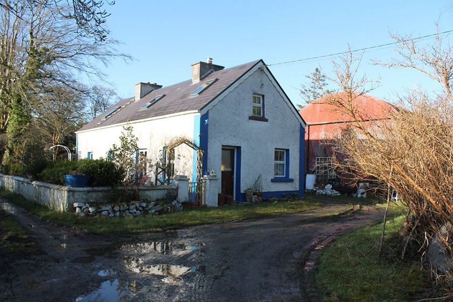 artfarm