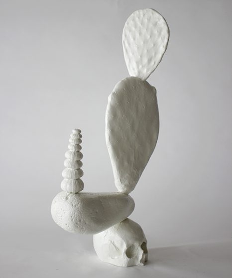 Política Natural III (2018) Micropaisaje IV (2017) Nicolás Laiz Placeres
