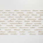 Dalila Gonçalves, Dissecar, 2019