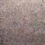Federico Miró