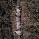 Enclave Land Art