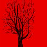 Mónica Sánchez-Robles