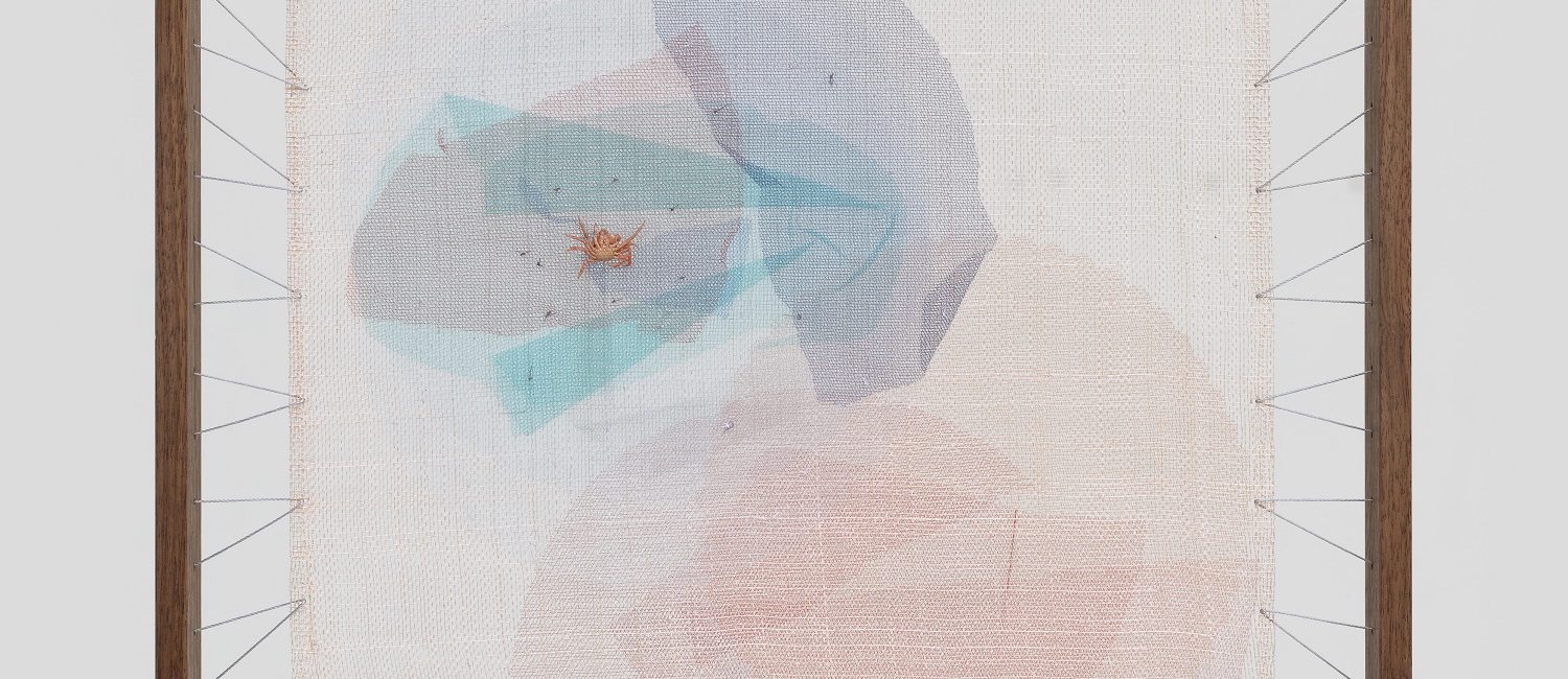 Pae White