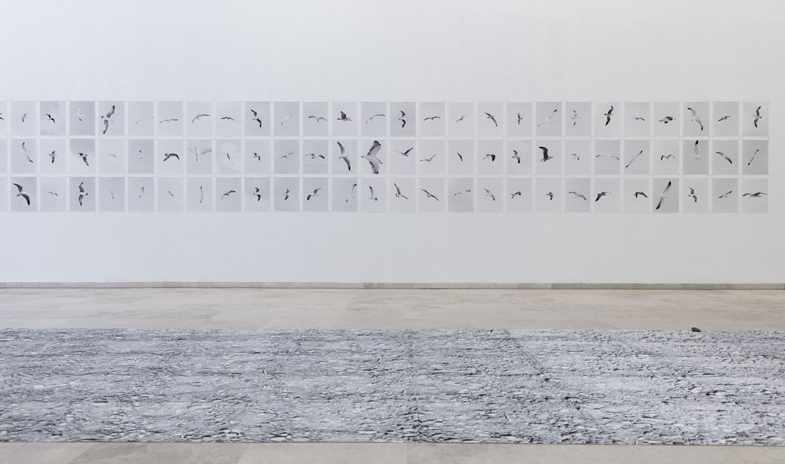 JUAN DEL JUNCO EN PATIO HERRERIANO