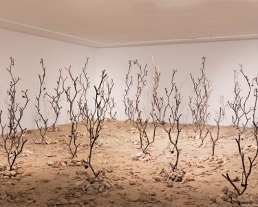 Kader Attia