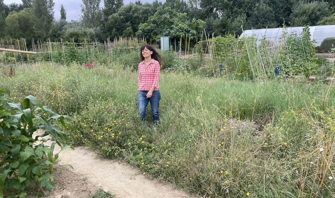 Manifiesto del arte en barbecho