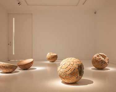Museo Lazaro Galdiano sede Apertura 2025
