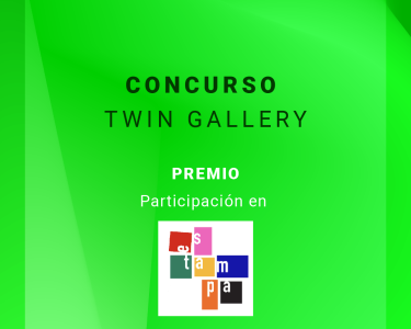 Participa en la II Edición del Concurso Twin Gallery