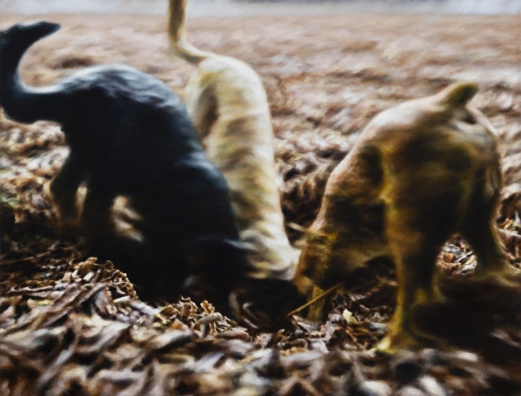 Philipp Frohlich "The Grubbing" 2020