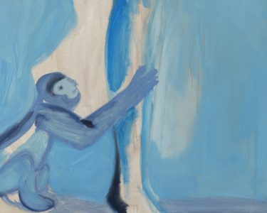 NÉBOA - El mico blau - Edu Gil