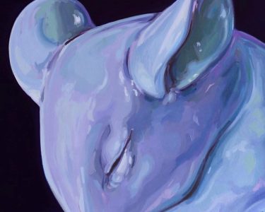 Lucía Cassiraga SECRETO MARAVILLA