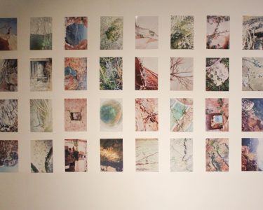 Sofia moreno Domínguez - creciendo entre grietas