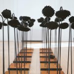 «Campo de girasoles» de Jéssica Burrinha